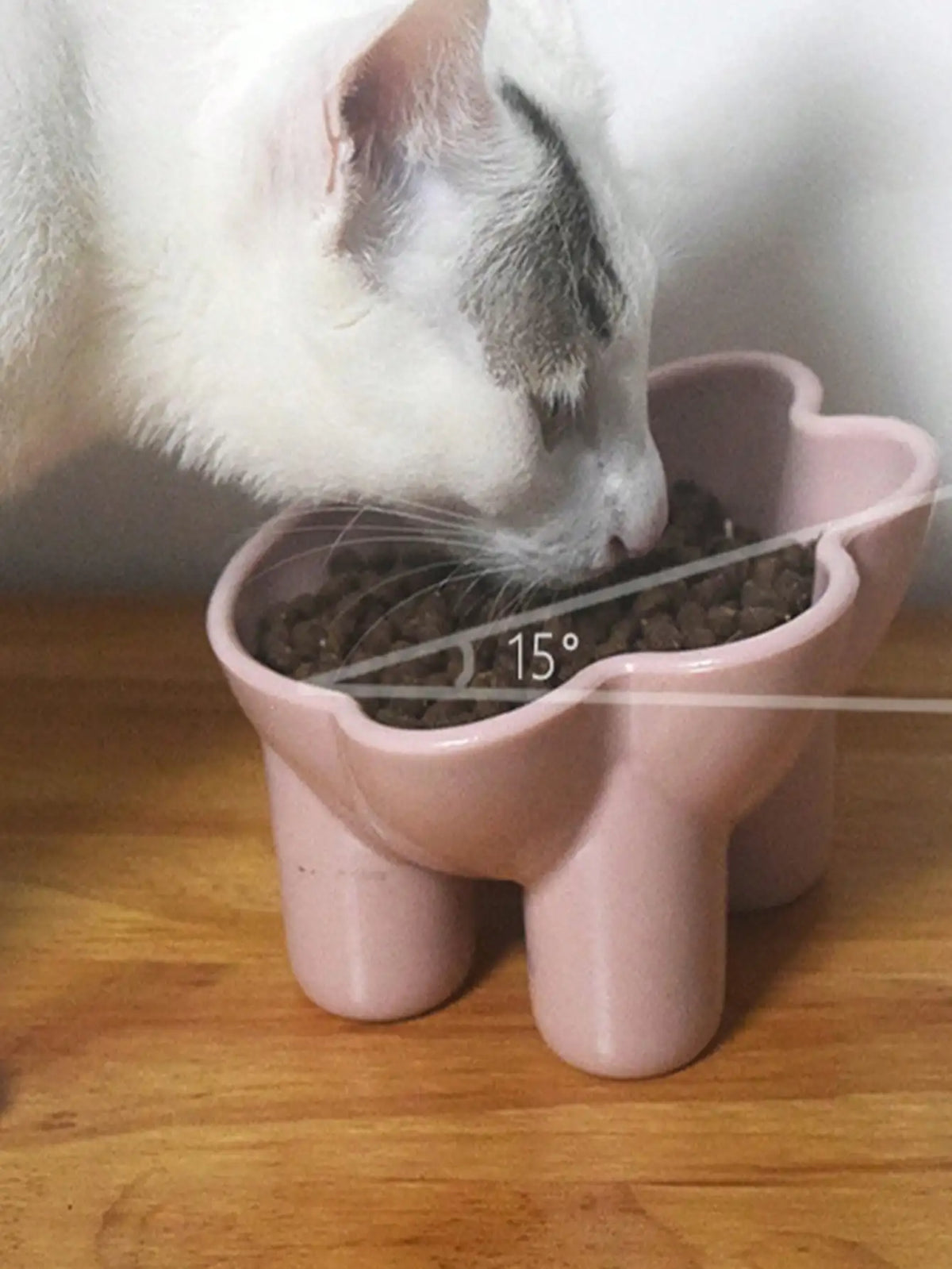 Tilted Elevated Pet Feeding Bowl, Anti-Spill Plastic Design with Neck-Protection Shape for Dogs and Cats, Pink or Blue - product view 6