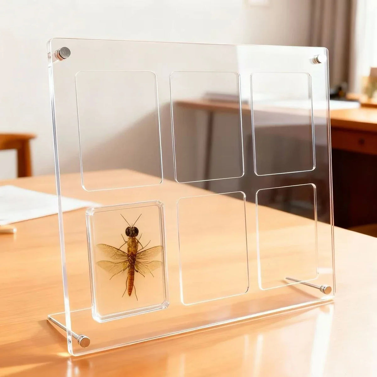 Acrylic Floating Frame, 6-Grid Desktop Photo and Card Display with Anti-Slip Grooves, 9×6 cm Slots, Modern Rectangle Design - product view 5