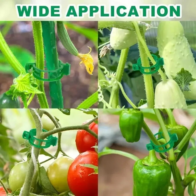 Plant Support Clips, 2.5 cm Plastic Vine and Tomato Training Clips, White or Green, 50–300 Piece Garden Sets - product view 6