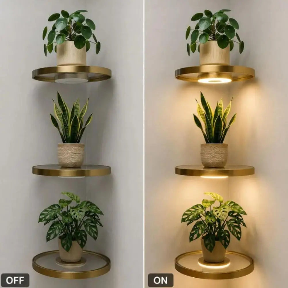 LED Floating Wall Shelf, PET Display Rack with Integrated Downlight, 20 cm Base for Small Collectibles and Plants - product view 6