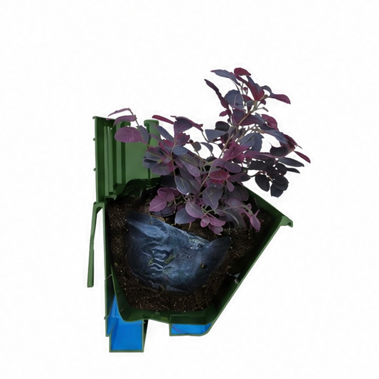 JupiGlow Green Plastic Wall-Mounted Planter, Classic Vertical Hanging Flower Pot for Succulents and Indoor or Balcony Décor