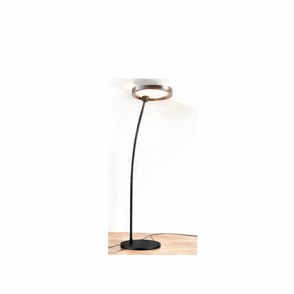 JupiGlow Arched Floor Lamp, Italian Arc LED Ring Light with Touch Switch, Iron Body, 40 or 60cm Shade Options for Dining Rooms