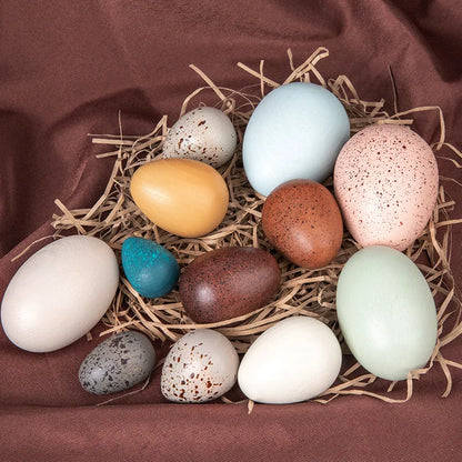 12 Piece Wooden Nest Egg Set, product view 5