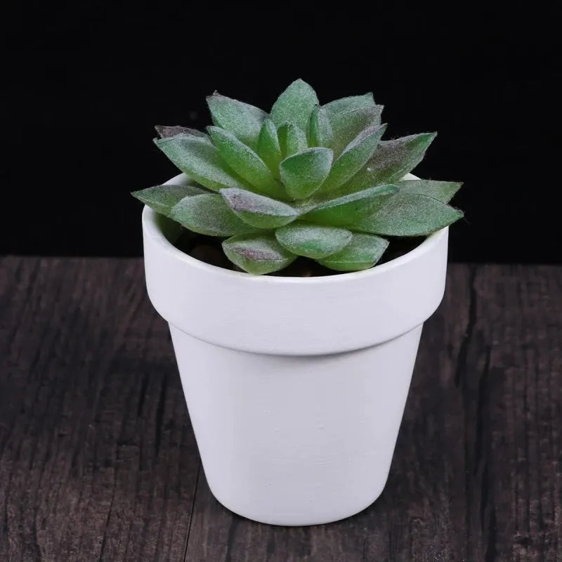 Ceramic Planter Set, 6 White 3.15-Inch Terra Cotta-Style Pots with Drainage Holes for Succulents and Cactus - product view 5