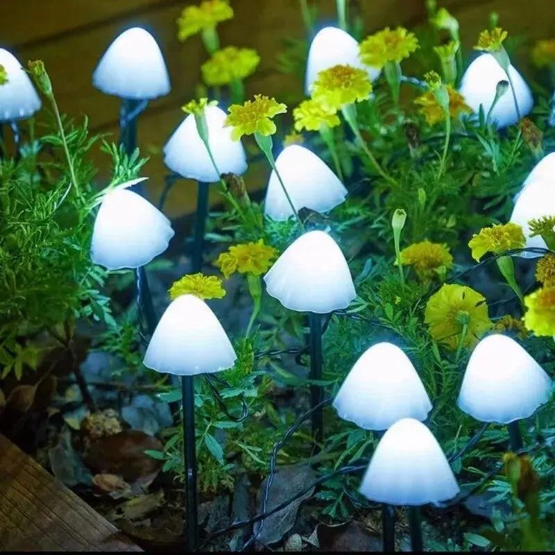 solar garden lights - product view 1