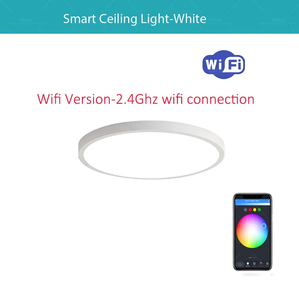 ceiling light - product view 1