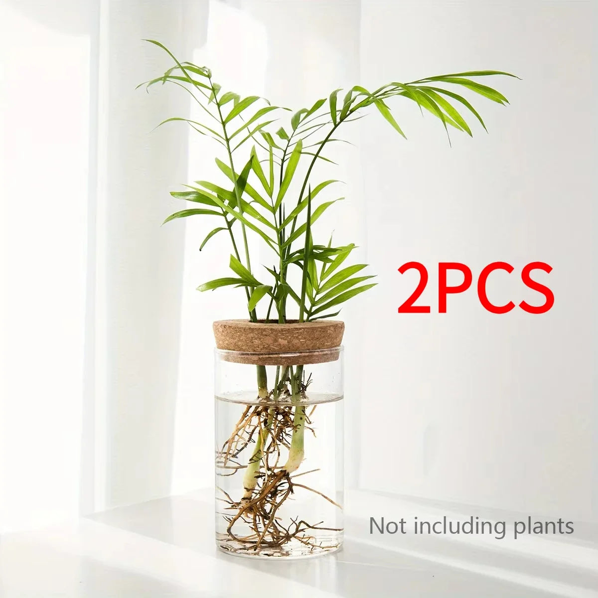 Glass Bud Vase, Desktop Hydroponic Plant Propagation Station in Multiple Sizes and Sets for Home Décor - product view 1