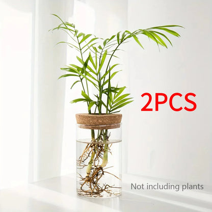 Glass Bud Vase, Desktop Hydroponic Plant Propagation Station in Multiple Sizes and Sets for Home Décor - product view 1