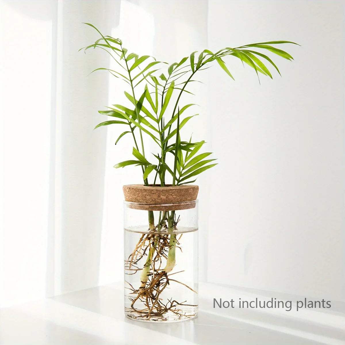 Glass Bud Vase, Desktop Hydroponic Plant Propagation Station in Multiple Sizes and Sets for Home Décor - product view 2