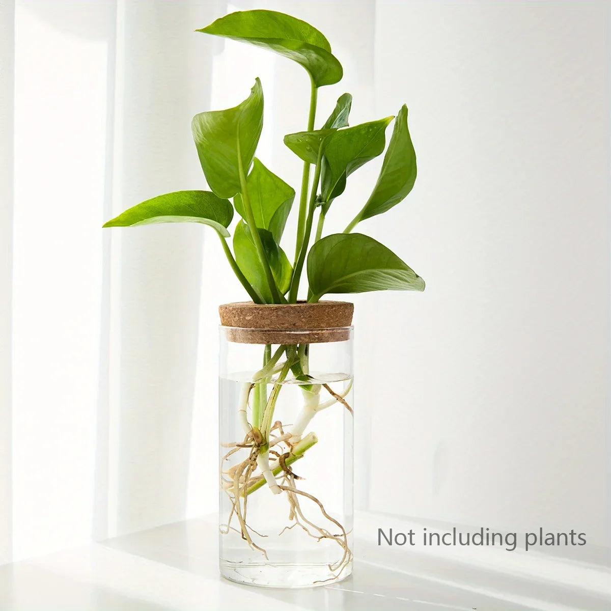 Glass Bud Vase, Desktop Hydroponic Plant Propagation Station in Multiple Sizes and Sets for Home Décor - product view 3