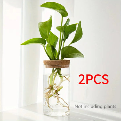 Glass Bud Vase, Desktop Hydroponic Plant Propagation Station in Multiple Sizes and Sets for Home Décor - product view 5