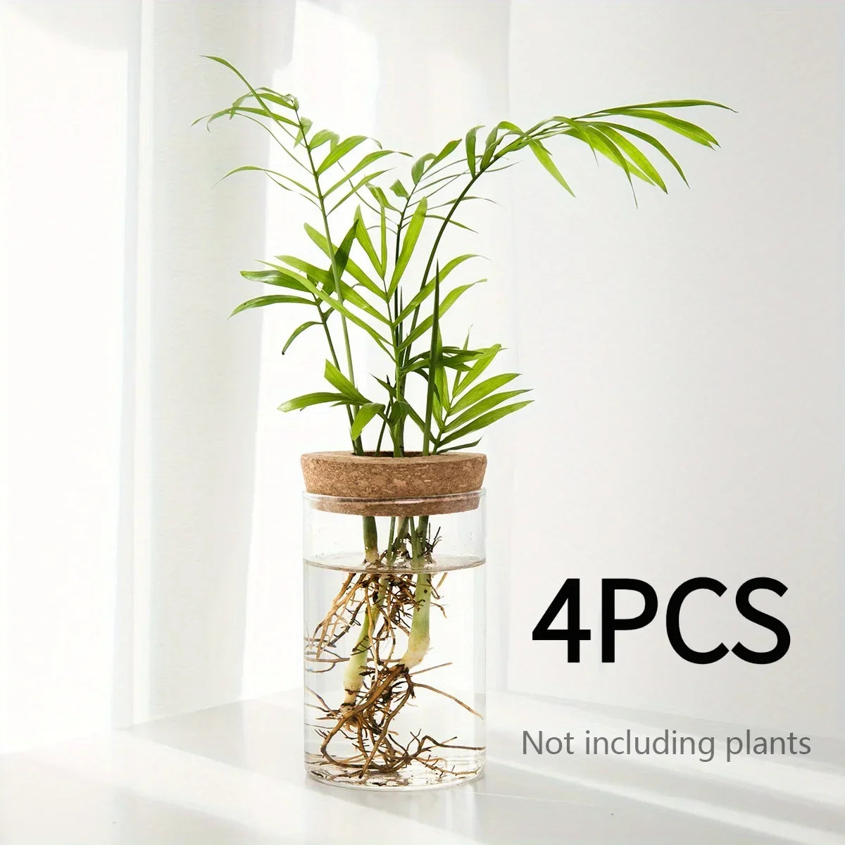 Glass Bud Vase, Desktop Hydroponic Plant Propagation Station in Multiple Sizes and Sets for Home Décor - product view 6