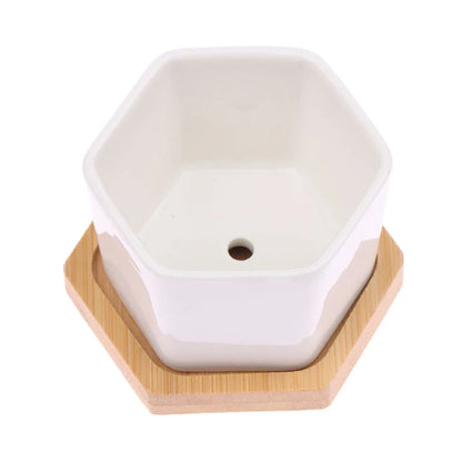 Ceramic Hexagon Planter with Bamboo Tray, Small Succulent Pot for Desk, Tabletop, Windowsill and Indoor Décor - product view 2