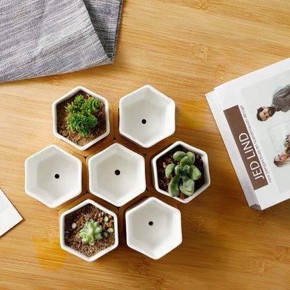 Ceramic Hexagon Planter with Bamboo Tray, Small Succulent Pot for Desk, Tabletop, Windowsill and Indoor Décor - product view 5