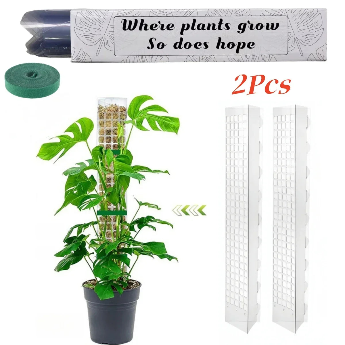 Plastic Moss Pole Plant Stand, Transparent Foldable Support for Climbing Plants, 38 cm or 60 cm, 2-, 4- or 6-Piece Set - product view 1