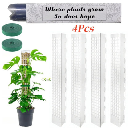 Plastic Moss Pole Plant Stand, Transparent Foldable Support for Climbing Plants, 38 cm or 60 cm, 2-, 4- or 6-Piece Set - product view 2
