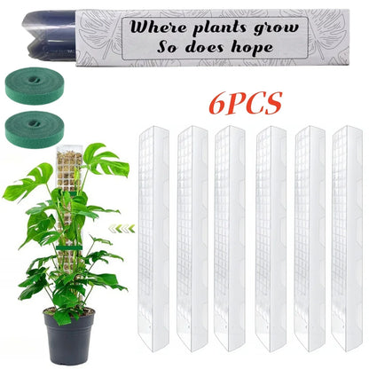 Plastic Moss Pole Plant Stand, Transparent Foldable Support for Climbing Plants, 38 cm or 60 cm, 2-, 4- or 6-Piece Set - product view 3