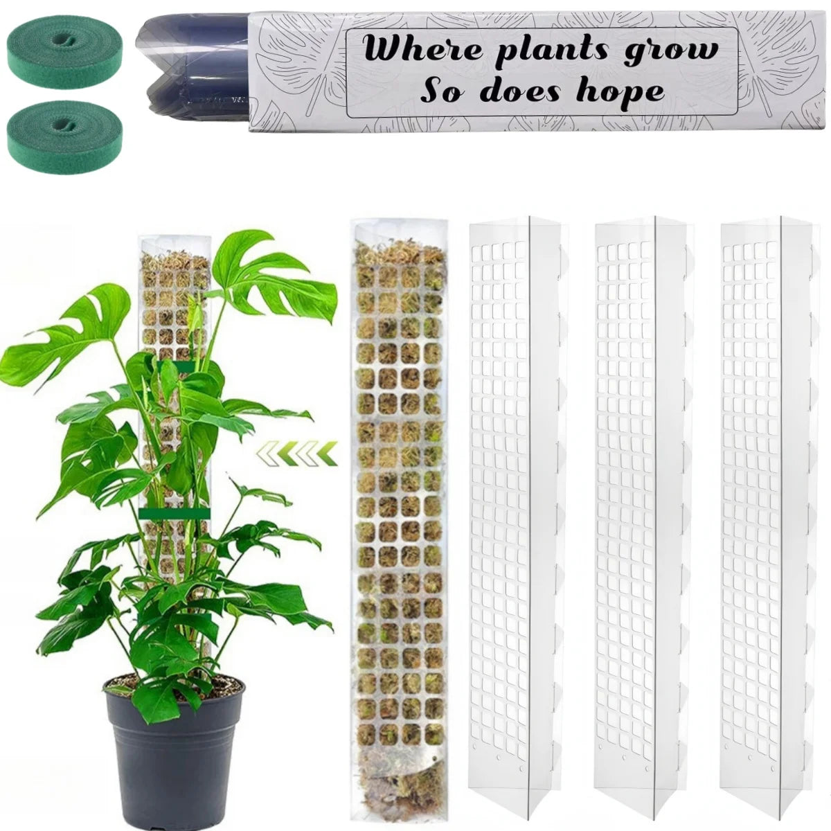 plant stand - product view 4