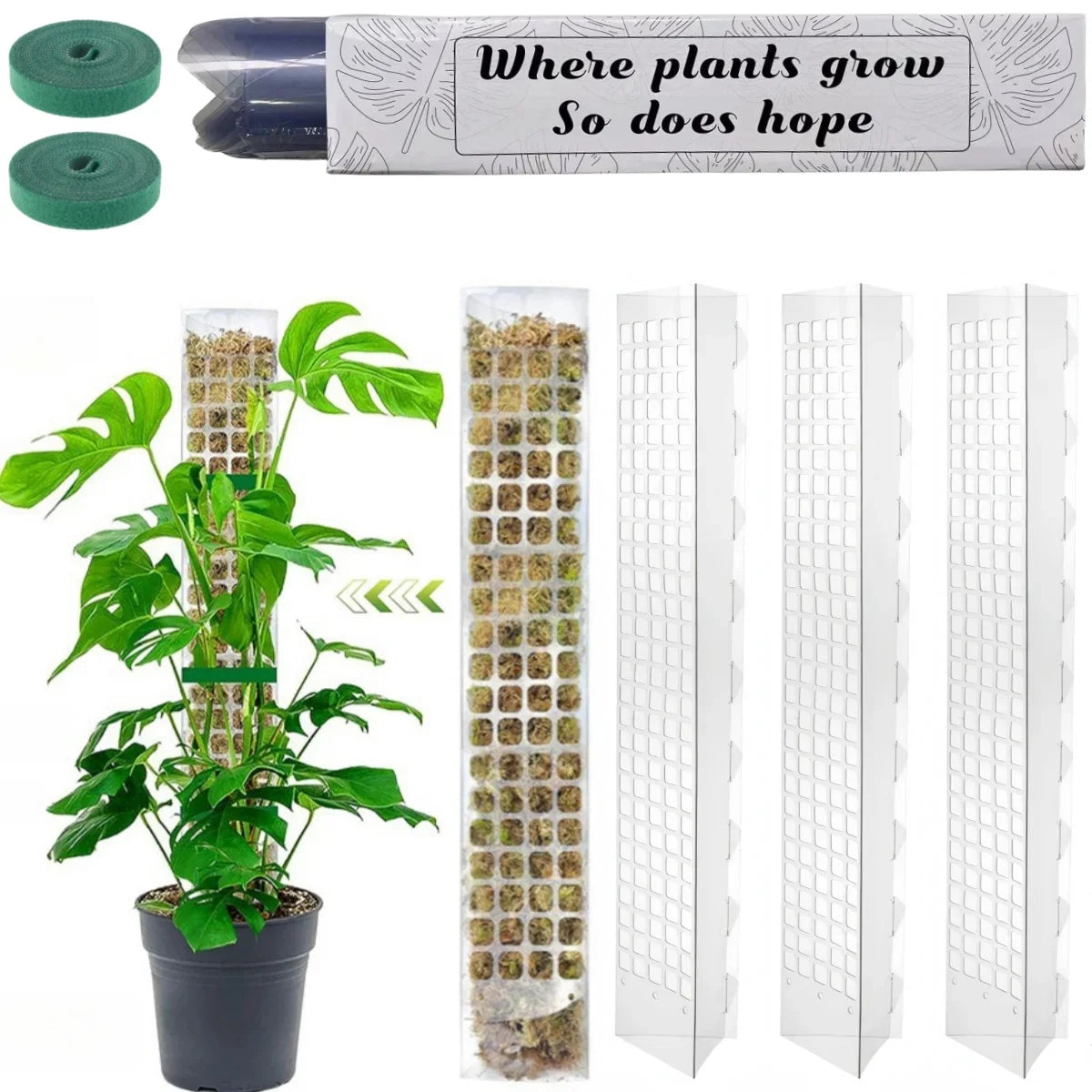 Plastic Moss Pole Plant Stand, Transparent Foldable Support for Climbing Plants, 38 cm or 60 cm, 2-, 4- or 6-Piece Set - product view 4