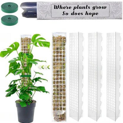 Plastic Moss Pole Plant Stand, Transparent Foldable Support for Climbing Plants, 38 cm or 60 cm, 2-, 4- or 6-Piece Set - product view 4