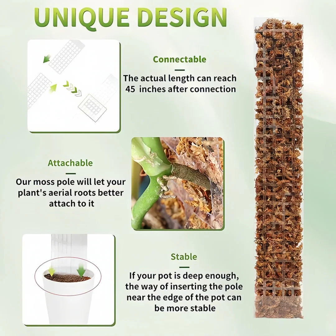 plant stand - product view 6