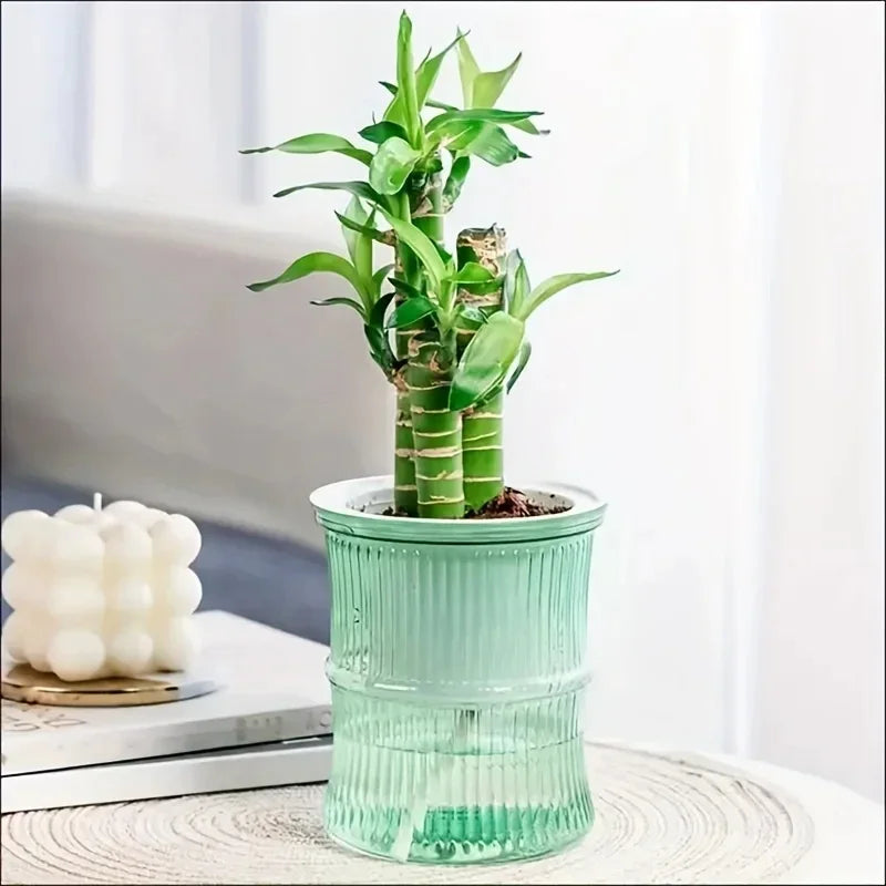 Self-Watering Planter Insert, Transparent Double-Layer Plastic Flower Pot, Water Storage, 12 × 10.5 cm, 5 Colors - product view 4