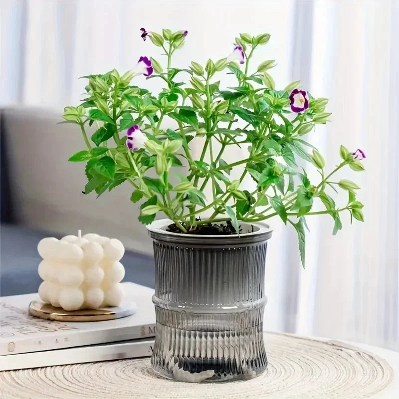 Self-Watering Planter Insert, Transparent Double-Layer Plastic Flower Pot, Water Storage, 12 × 10.5 cm, 5 Colors - product view 5