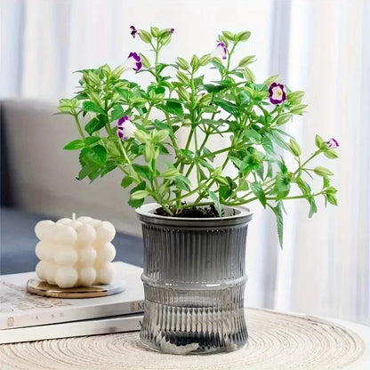 Self-Watering Planter Insert, Transparent Double-Layer Plastic Flower Pot, Water Storage, 12 × 10.5 cm, 5 Colors - product view 5