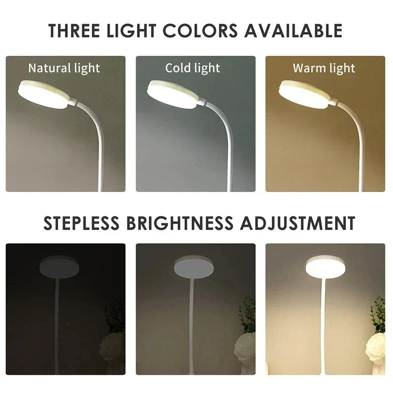 Portable LED Desk Lamp, USB or Battery Powered, 3 Color Temperatures, 9 Brightness Modes, Dimmable for Reading - product view 5