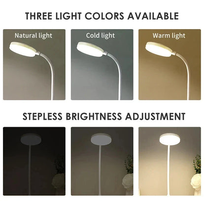 Portable LED Desk Lamp, USB or Battery Powered, 3 Color Temperatures, 9 Brightness Modes, Dimmable for Reading - product view 5