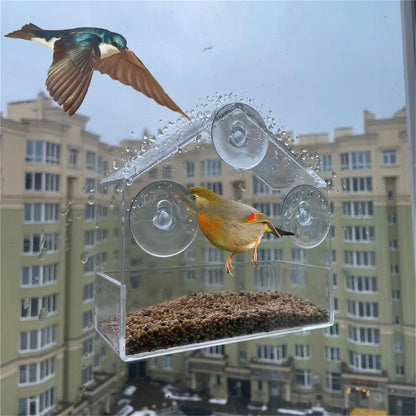 Window Bird Feeder, Clear Plastic Acrylic Hanging Tray with 3 Suction Cups, 15 × 15 × 6 cm for Birdwatching - product view 4
