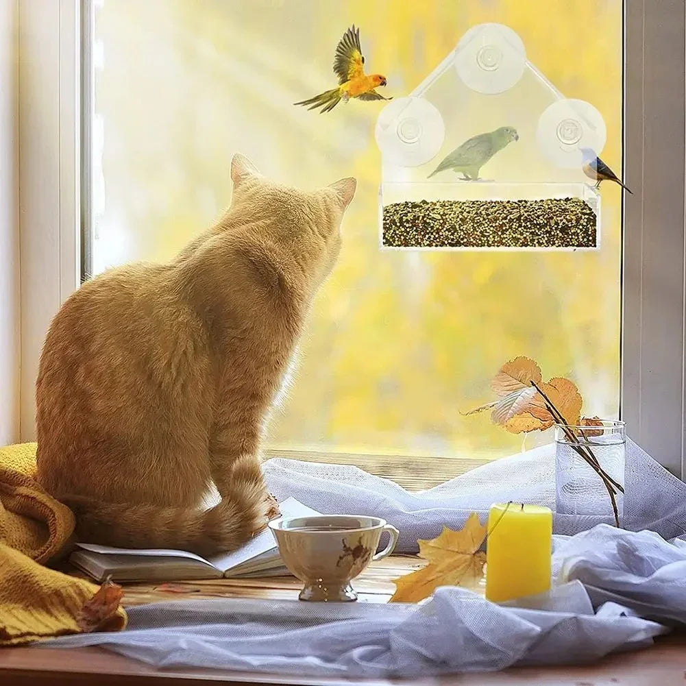 Transparent Window-Mount Bird Feeder, Plastic Removable Suction-Cup Feed Tray for Garden, Patio and Yard Bird Watching - product view 5