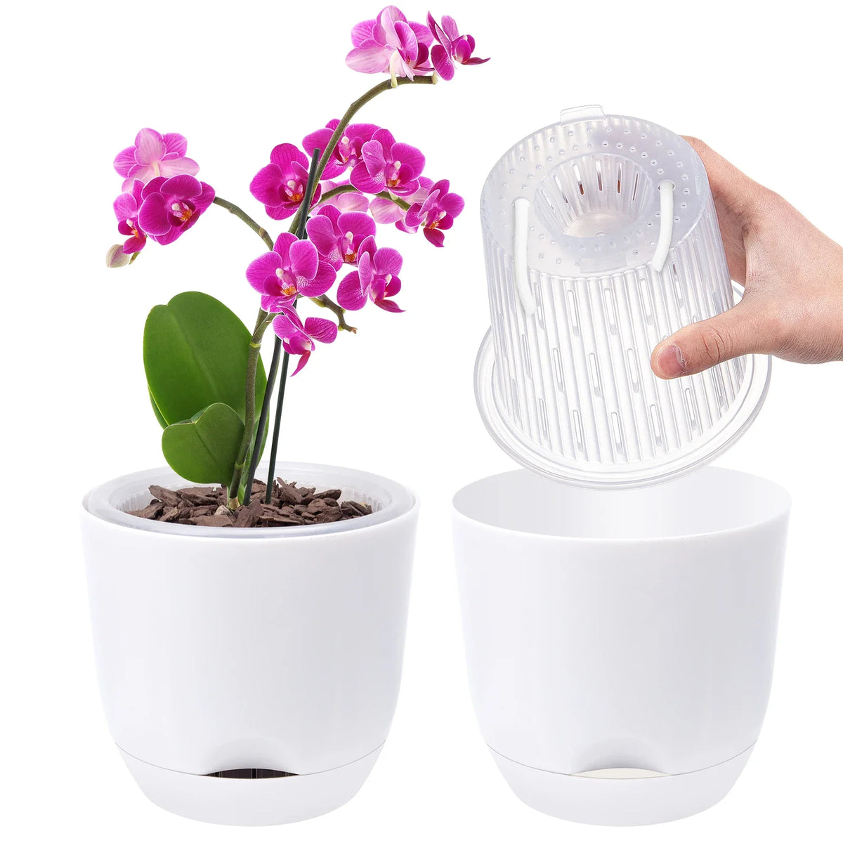 Self-Watering Orchid Planter Insert, Clear Plastic Double-Layer Pot with Airflow Holes, 5.7 or 7.28 Inch Sizes - product view 1