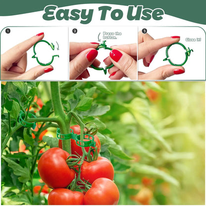 Plant Support Clips, Reusable Green Plastic Buckle Clips for Tomato Vines, Trellis, Stakes and Climbing Plants - product view 2