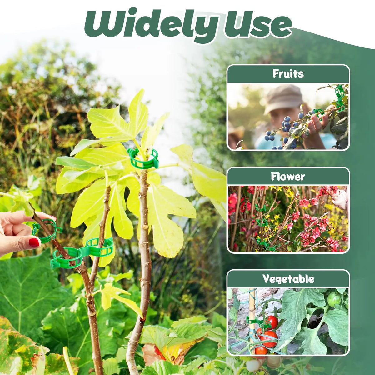 Plant Support Clips, Reusable Green Plastic Buckle Clips for Tomato Vines, Trellis, Stakes and Climbing Plants - product view 5