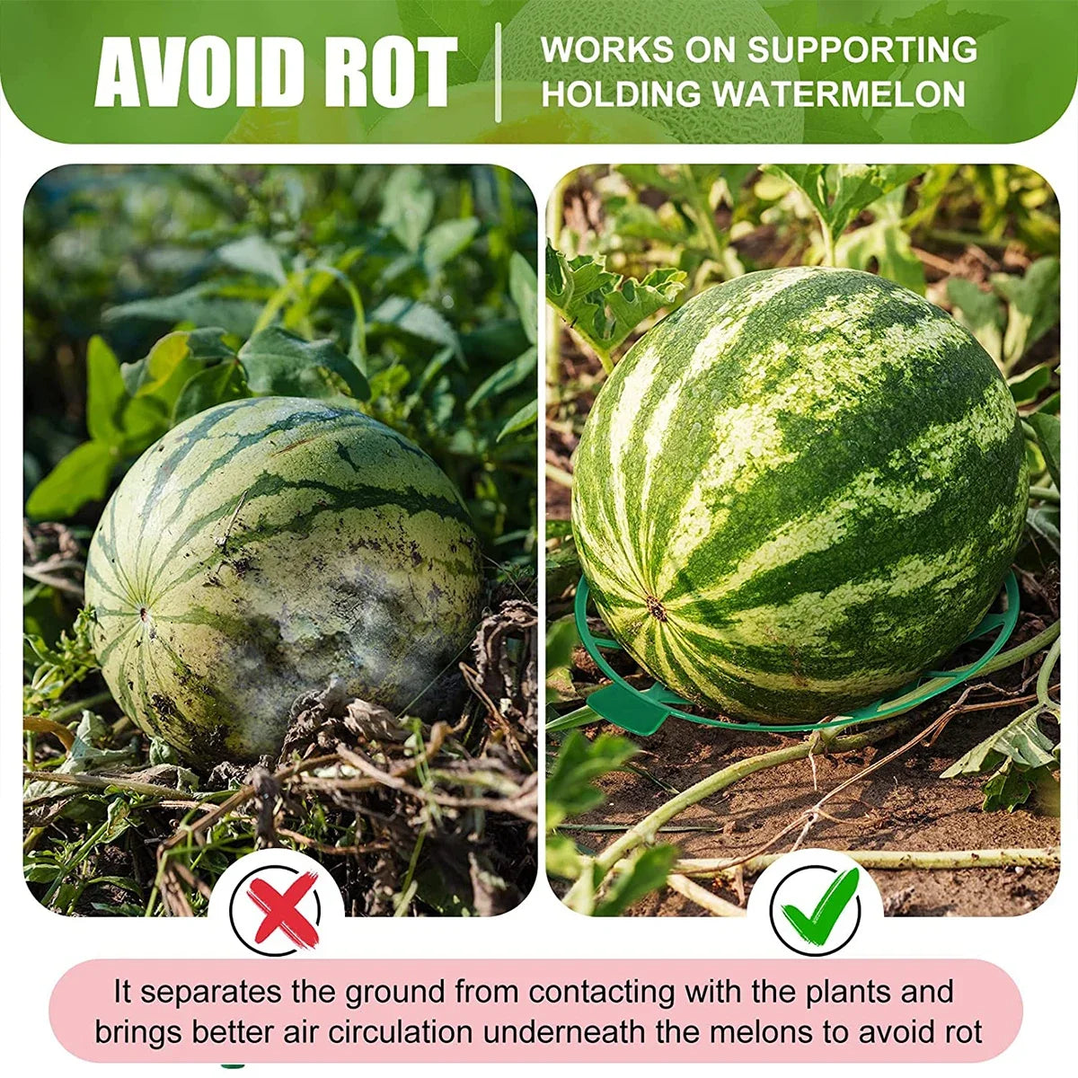 plant stand - product view 5