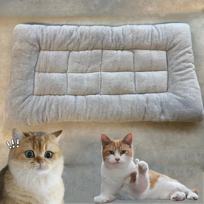 dog bed - product view 4
