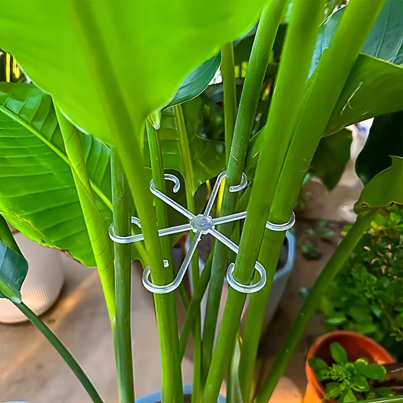 Plant Stem Support Clips, 4-Piece Plastic Turtle-Back Fixators for Bamboo, Hydroponic Plants and Tree Branches - product view 4