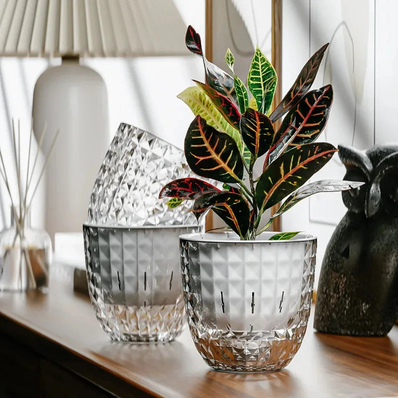 Self-Watering Planter Insert, Transparent Double-Layer Plastic Pot for Succulents and Desktop Green Plants, 1-, 2- or 3-Piece - product view 3