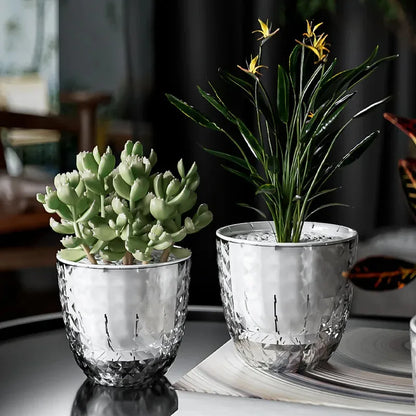 Self-Watering Planter Insert, Transparent Double-Layer Plastic Pot for Succulents and Desktop Green Plants, 1-, 2- or 3-Piece - product view 4
