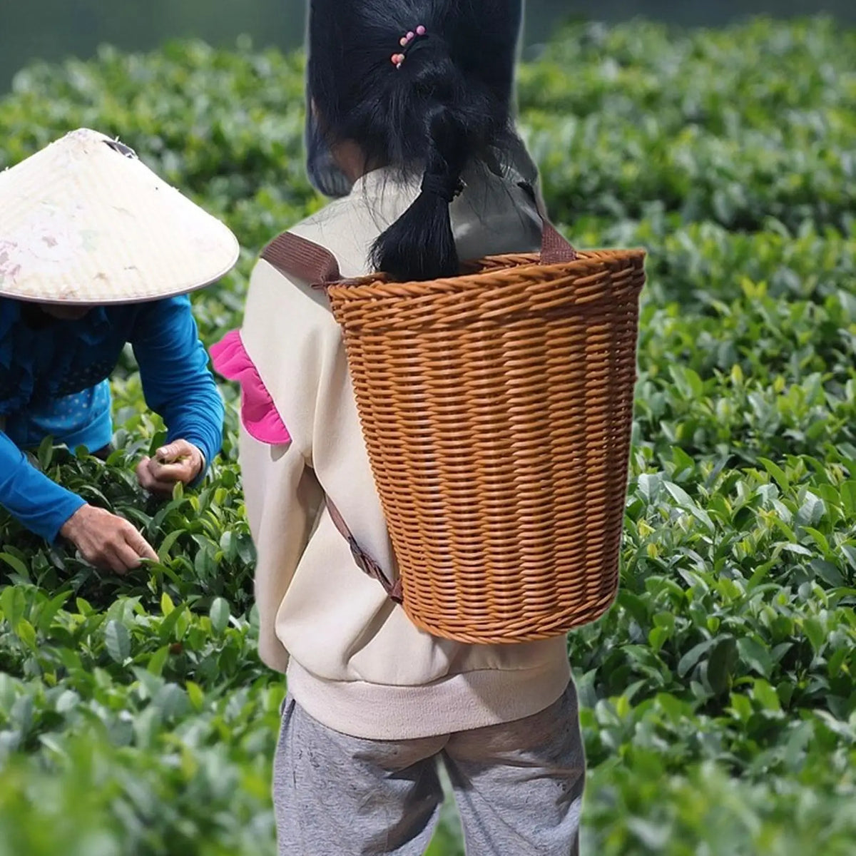 Handwoven Garden Harvest Basket Backpack, Reusable PP Fruit Picking Basket with Rattan Frame and Shoulder Straps - product view 2