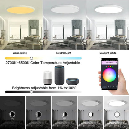 Smart LED Ceiling Light, 24W RGB and Adjustable White Light, WiFi/Bluetooth, App, Alexa and Google Home, 3000–6500K - product view 4