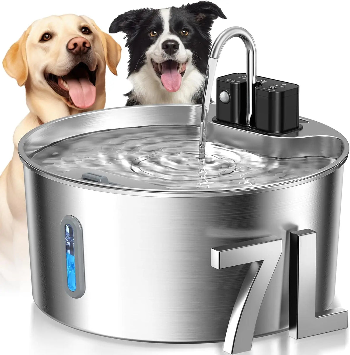 dog bowl - product view 1