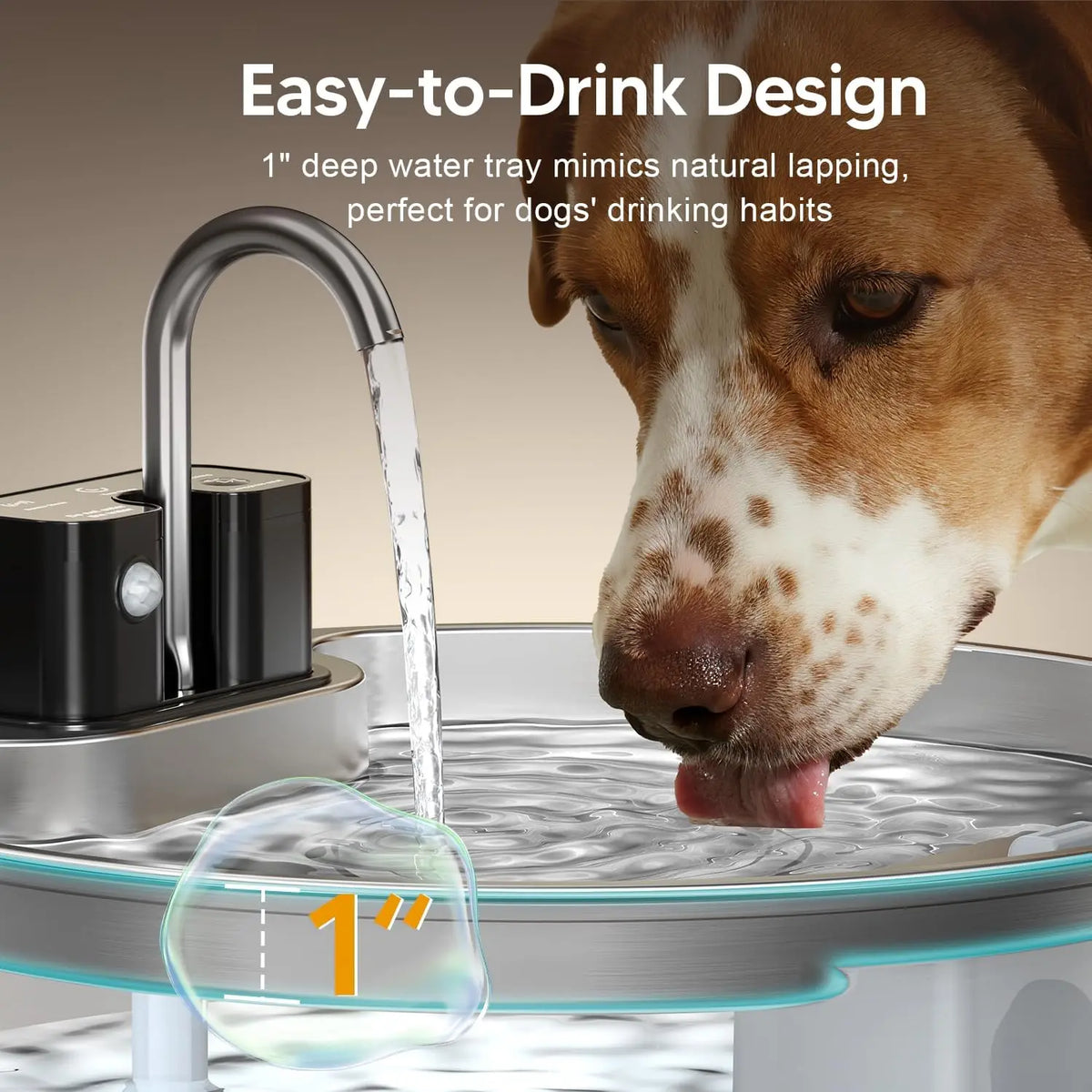 dog bowl - product view 6
