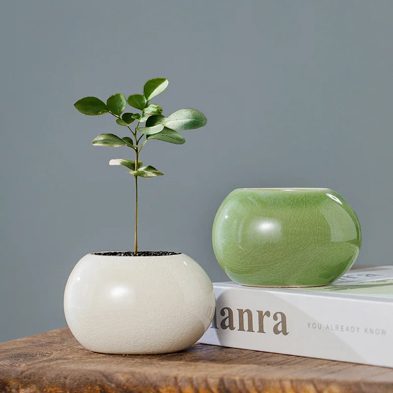 Modern Ceramic Planter, Small Round Spherical Flower Pot, 8.7 cm Diameter, 5.7 cm High, White or Green - product view 4