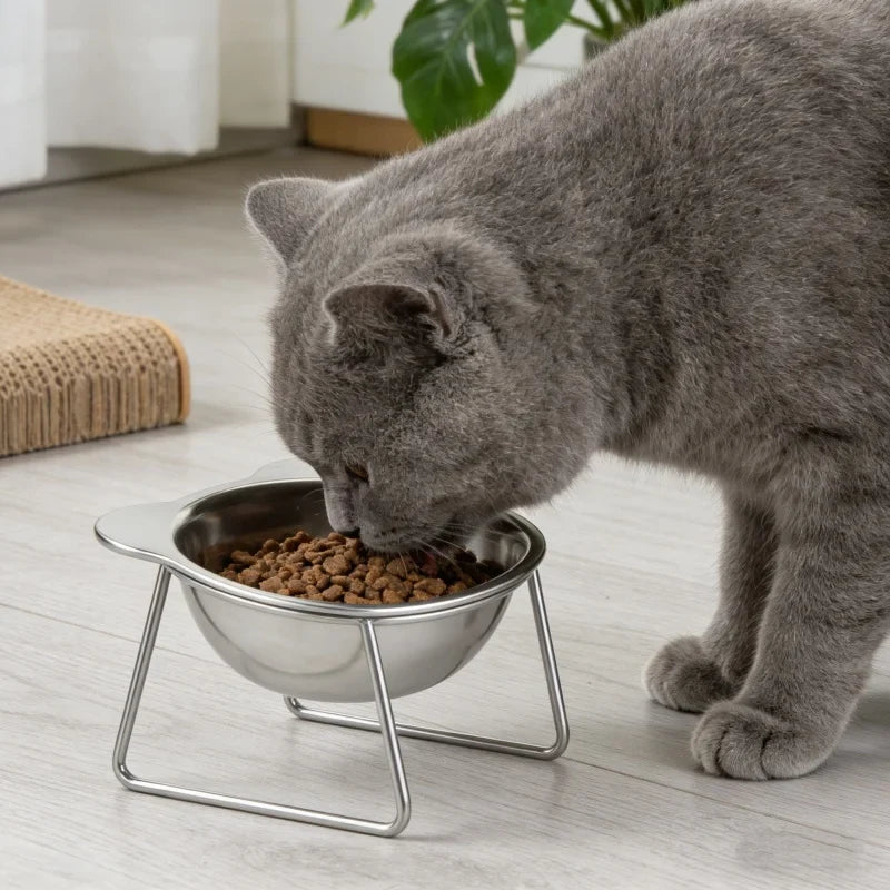 Tilted Stainless Steel Cat Bowl, 15° Angled Rounded Food and Water Dish with Removable Stand for Cats and Kittens - product view 3