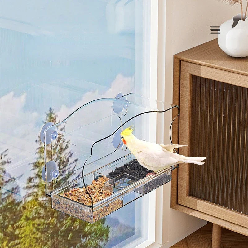 Window Bird Feeder, Clear Plastic Viewing Feeder with Suction Cup Mount for Indoor Bird Watching - product view 3