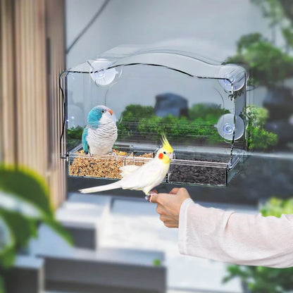 Window Bird Feeder, Clear Plastic Viewing Feeder with Suction Cup Mount for Indoor Bird Watching - product view 4