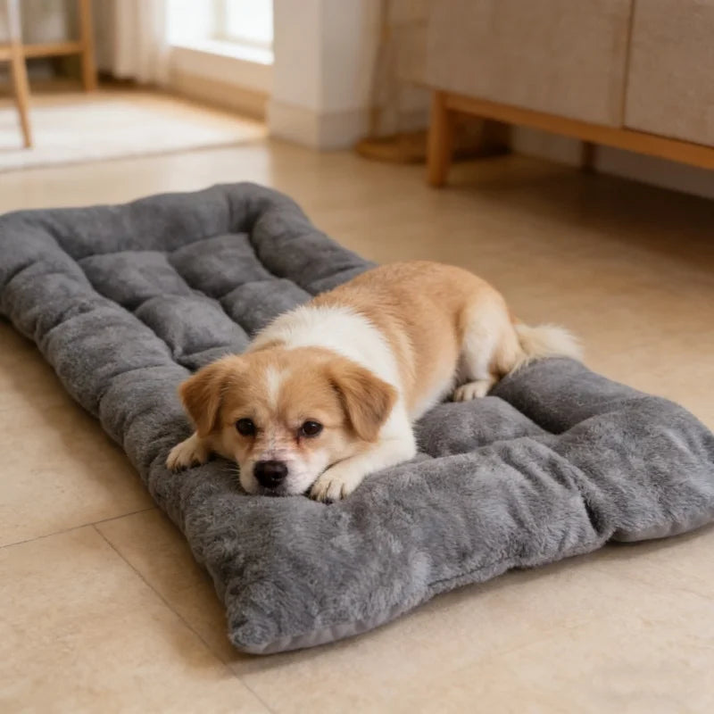 dog bed - product view 2