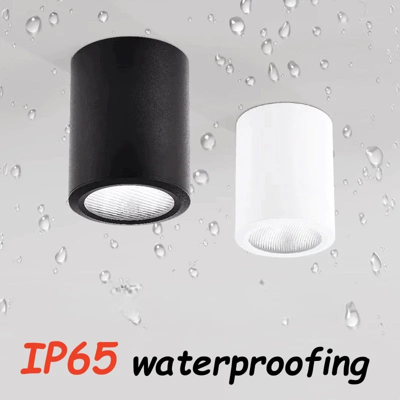 IP65 LED Outdoor Ceiling Spotlight, AC 90–260V Surface-Mounted Alloy Light, 7–40W, 3000K–6000K for Balconies - product view 1